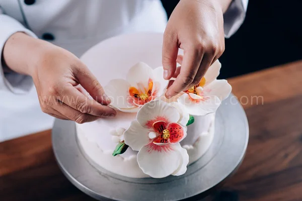 nghề bánh tây nguyên nghề bánh tây nguyên