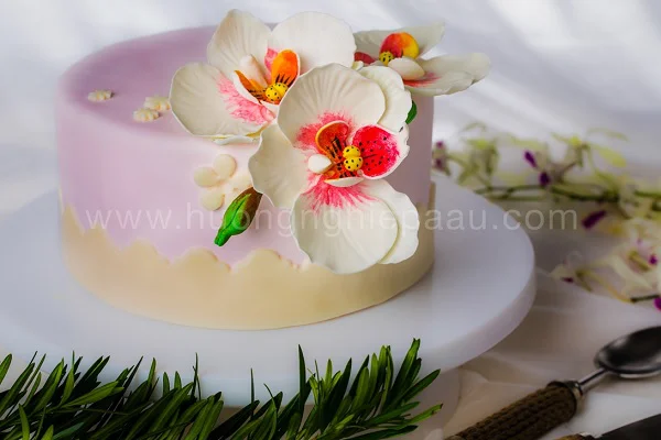 Trang trí bánh kem fondant Trang trí bánh kem fondant
