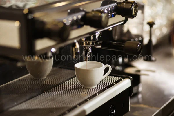 kỹ thuật New8808 link không chặn cà phê bằng máy