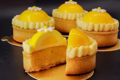 học New888 link new888 new88 entremet