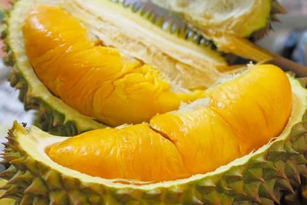 sầu riêng ngon