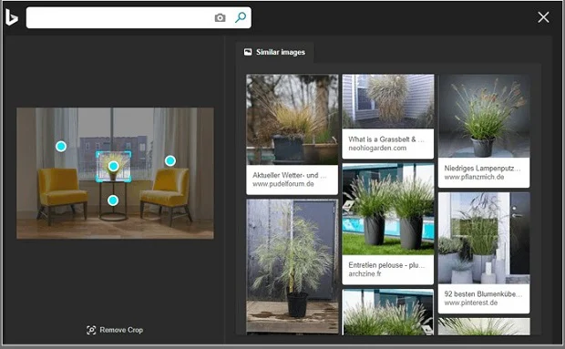 bing-images
