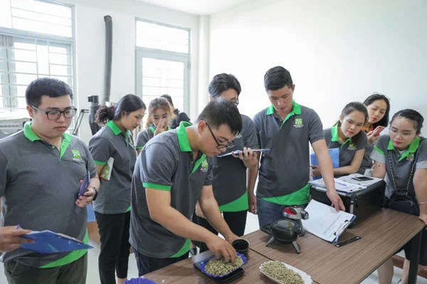 88New 1 com link không bị chặn quan sát cà phê