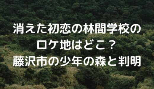 消えた初恋の林間学校のロケ地はどこ？藤沢市の少年の森と判明！