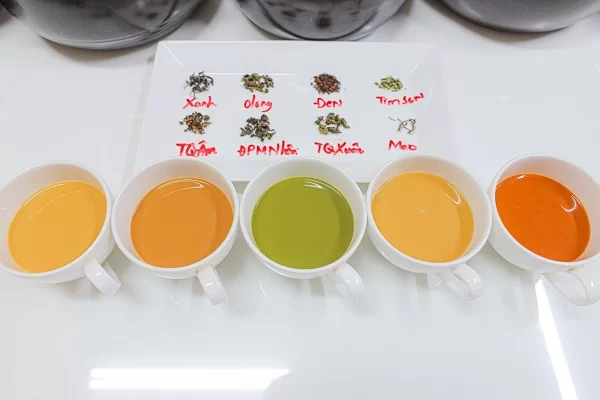các nền trà cơ bản