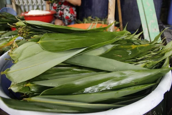 Lá đót (lá chít) thay lá tre để gói bánh tro