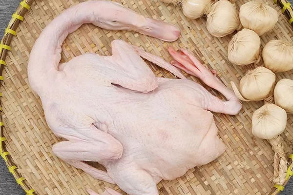 Chọn vịt ngon – yếu tố quyết định chất lượng