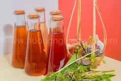 hình ảnh chuyên đề khóa học sâm dinh dưỡng 13