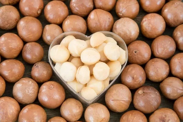 Thành Phần Dinh Dưỡng Của Hạt Macca