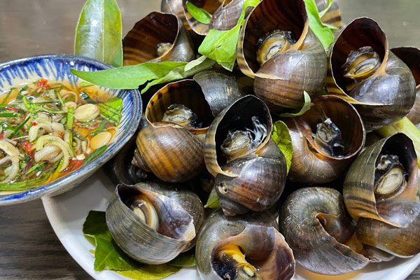 Ốc Nhồi Hấp Sả