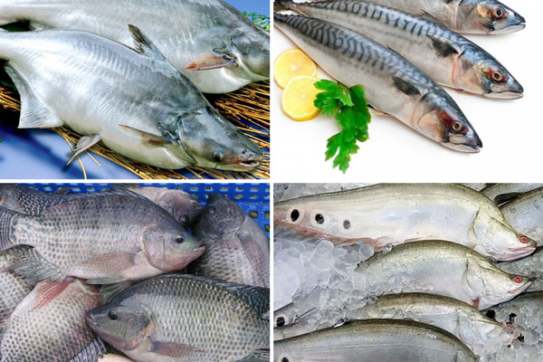 Nên chọn loại cá nào để làm chả?